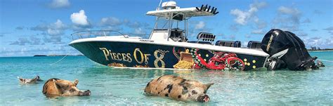 pieces of 8 tours|swim with pigs bahamas atlantis.